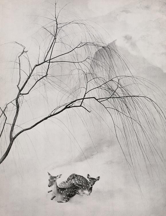 郎静山摄制作品