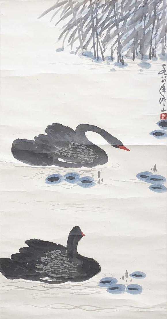 书画艺拍吴作人 天鹅